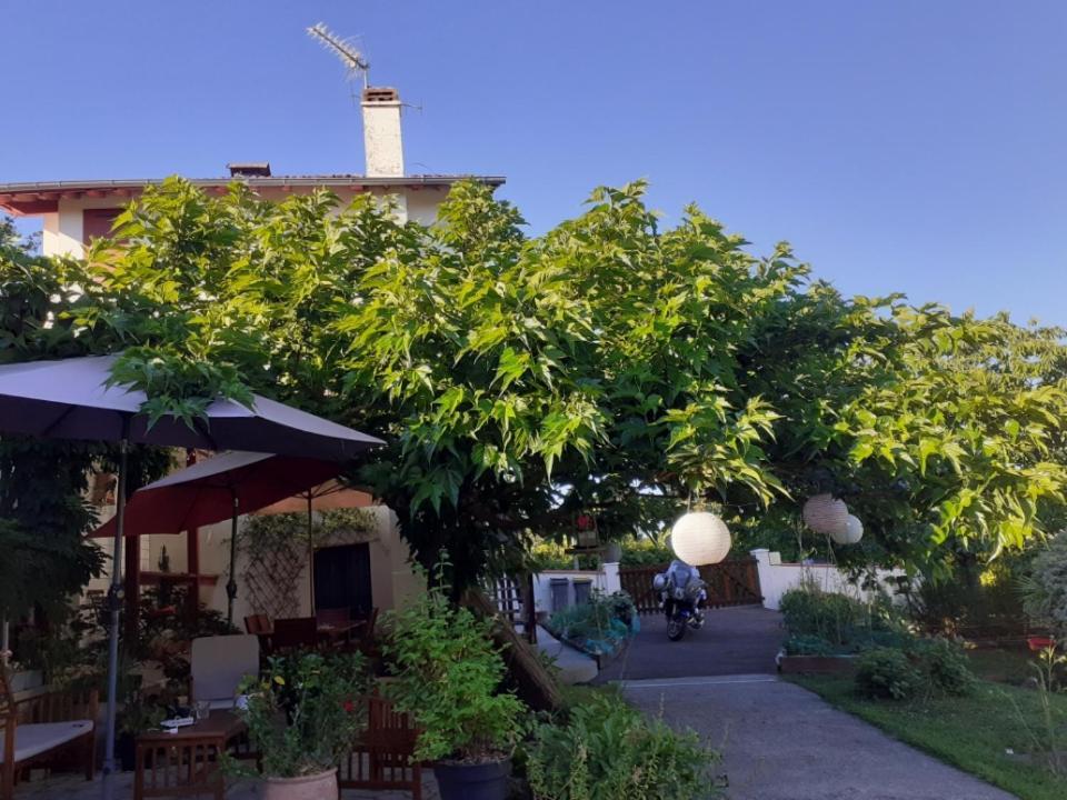 Au Bosquet: Tranquil Retreat with Breakfast Near Town Center Bed & Breakfast Salies-de-Bearn Exterior photo