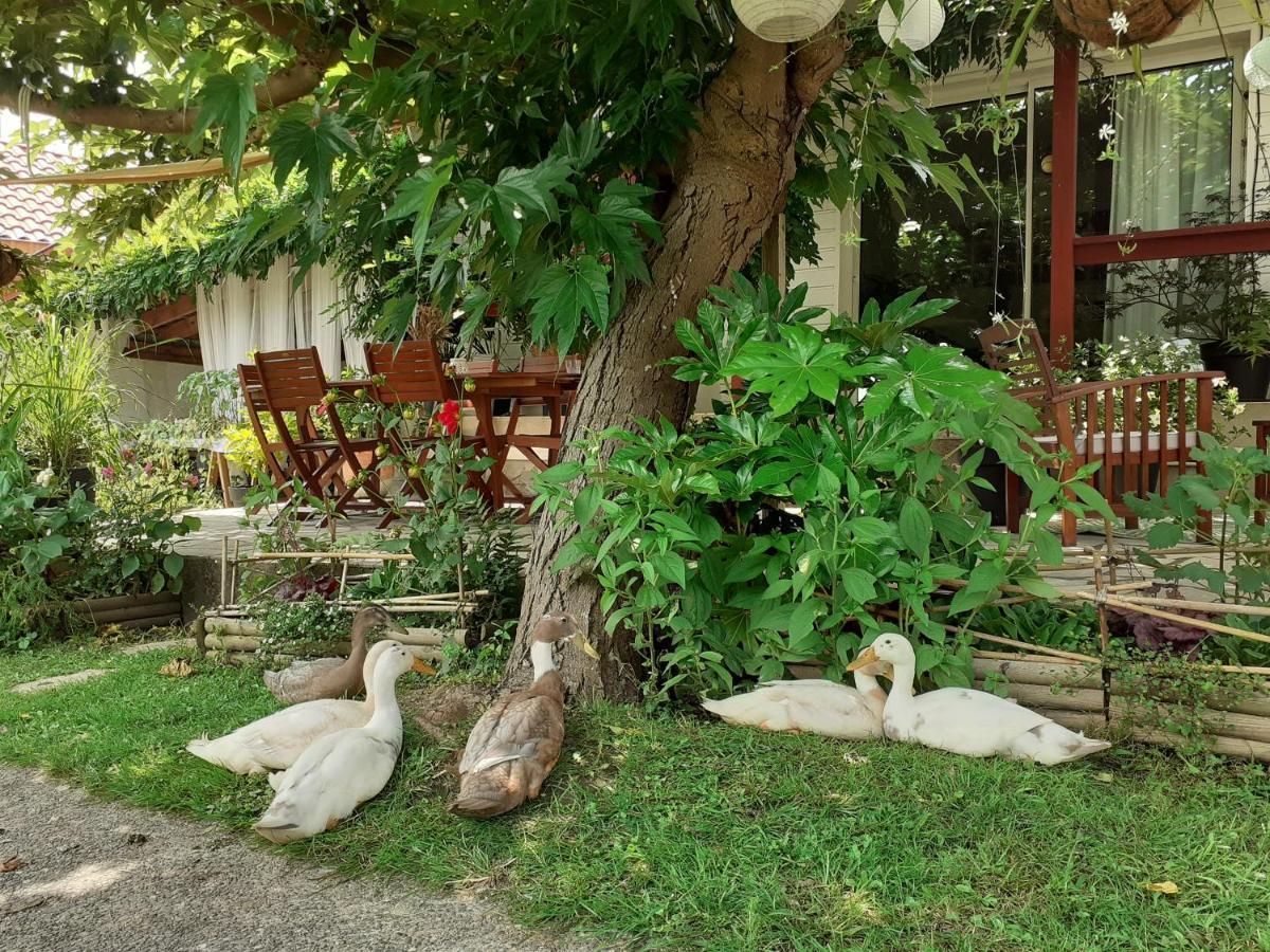 Au Bosquet: Tranquil Retreat with Breakfast Near Town Center Bed & Breakfast Salies-de-Bearn Exterior photo